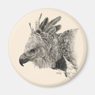 Harpy Eagle Drawing Magneet