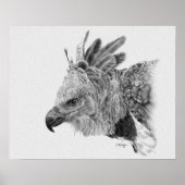 Harpy Eagle Drawing Poster (Voorkant)