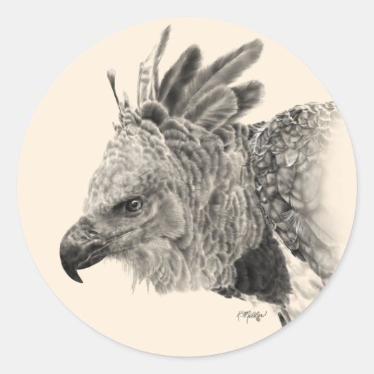 Harpy Eagle Drawing Ronde Sticker (Voorkant)