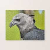 Harpy Eagle Jigzaag Puzzle Legpuzzel (Horizontaal)