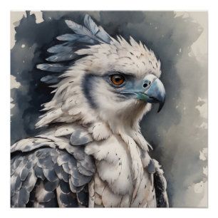 Harpy Eagle no 1 Glanzend Poster Perfect Poster