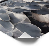 Harpy Eagle no 1 Poster brillant (Coin)