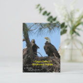 Harriet Eagle oiseaux de famille Floride Carte pos (Debout devant)