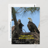 Harriet Eagle oiseaux de famille Floride Carte pos (Devant / Derrière)