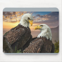 Harriet en M15 als ik in je ogen kijk