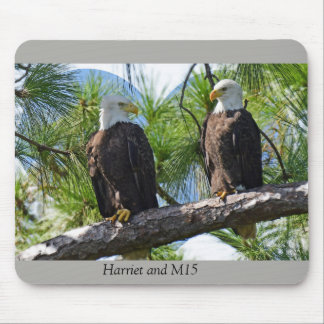 Harriet en M15-liefde Muismat