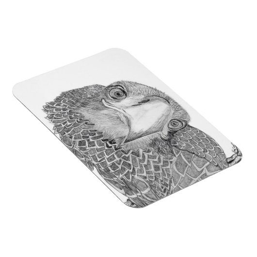 HARRIET OZZIE M HOME VERHAAL FAMILIE TREE E9 CAM MAGNEET (Rechterzijde)