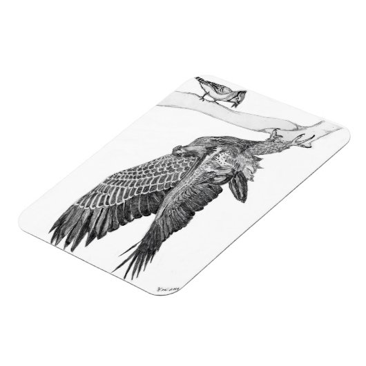 HARRIET OZZIE M HOME VERHAAL VAN GEZINSTREE E9 OOP MAGNEET (Linkerzijde)