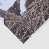 Harriet, papier de soie de la soie M et E9 (Détail)