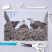 Harriet, papier de soie de la soie M et E9 (Artisanat)