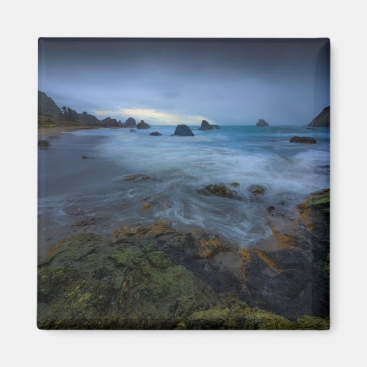 Harris Beach Park | Oregon Magneet (Voorkant)