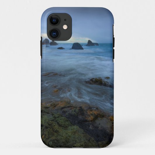 Harris Beach State Park | Oregon Case-Mate iPhone Case (Achterkant)