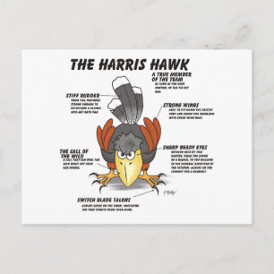 Harris Havik Cartoon Briefkaart
