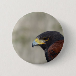 Harris Havik Portret Ronde Button 5,7 Cm