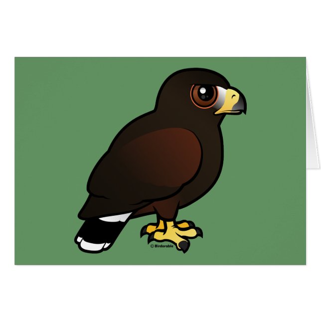 Harris Hawk (Voorkant Horizontaal)