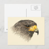 Harris Hawk - Carte postale moyenne mixte (Devant / Derrière)