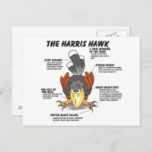 Harris Hawk Cartoon Briefkaart (Voorkant / Achterkant)
