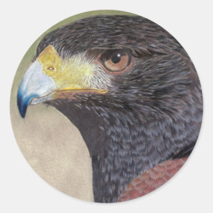 Harris Hawk-cp Ronde Sticker