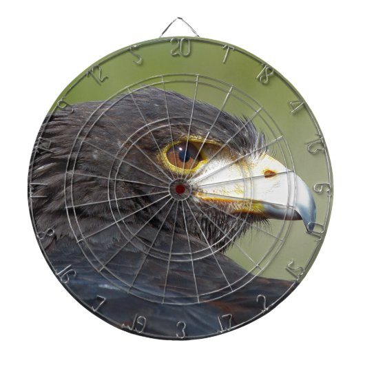 Harris Hawk Dartbord (Voorkant)