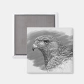 Harris Hawk Drawing Magneet (Voorkant / Achterkant)
