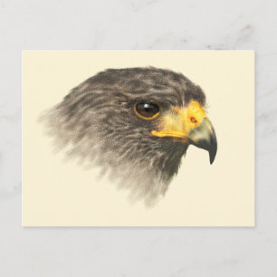 Harris Hawk - Gemengd Middelgroot Briefkaart