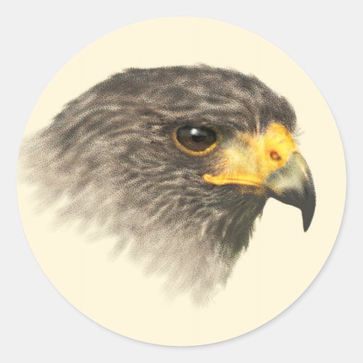 Harris Hawk - Gemengde middelgrote Ronde Sticker (Voorkant)