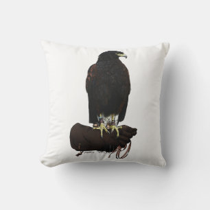 Harris Hawk op Glove Kussen