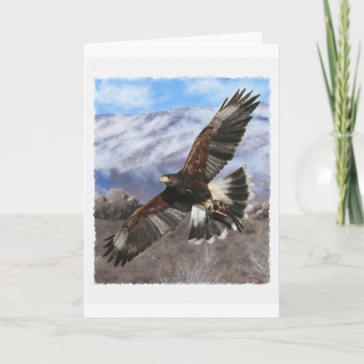 Harris Hawk-pastel Kaart (Voorkant)