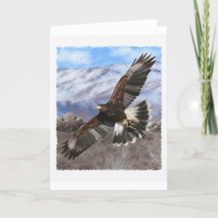 Harris Hawk-pastel Kaart