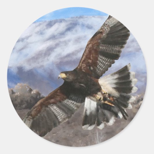 Harris Hawk- pastel Ronde Sticker (Voorkant)