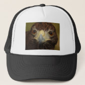 Harris Hawk Pet (Voorkant)