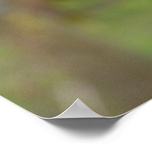 harris hawk poster (Hoek)