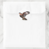 Harris Hawk Ronde Sticker (Tas)