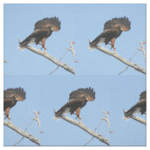 Harris Hawk Stof (Swatch)