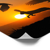 Harris Hawks Hunting Poster (Hoek)