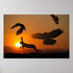 Harris Hawks Hunting Poster