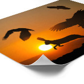 Harris Hawks Poster (Hoek)