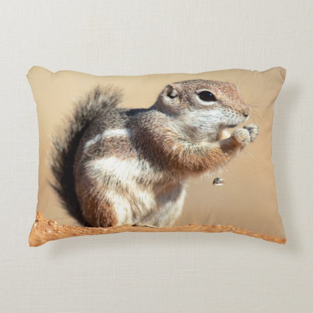Harris's antelope squirrel (Ammospermophilus) Decoratief Kussen (Voorkant)