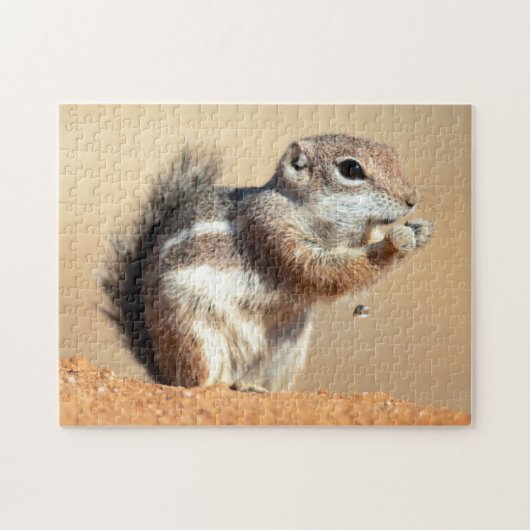 Harris's antelope squirrel (Ammospermophilus) Legpuzzel (Horizontaal)