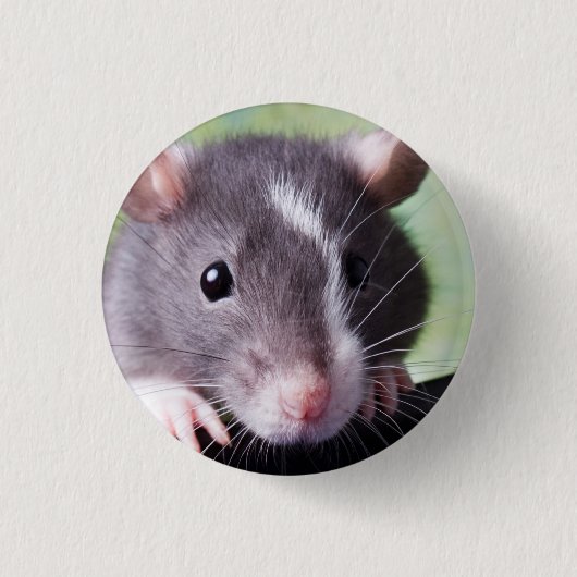 Harry Button (Voorkant)