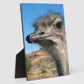 Harry de blije struisvogel fotoplaat (Zijkant)