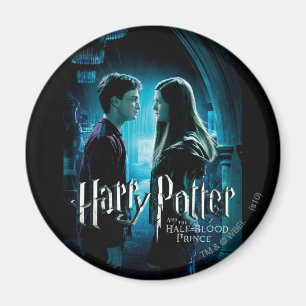 Harry en Ginny 1 Magneet