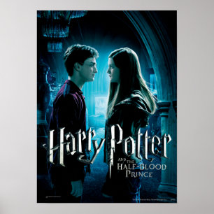 Harry en Ginny 1 Poster