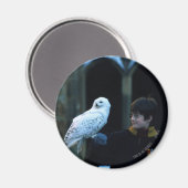Harry en Hedwig 2 Magneet (Voorkant / Achterkant)