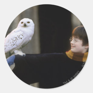 Harry en Hedwig 3 Ronde Sticker