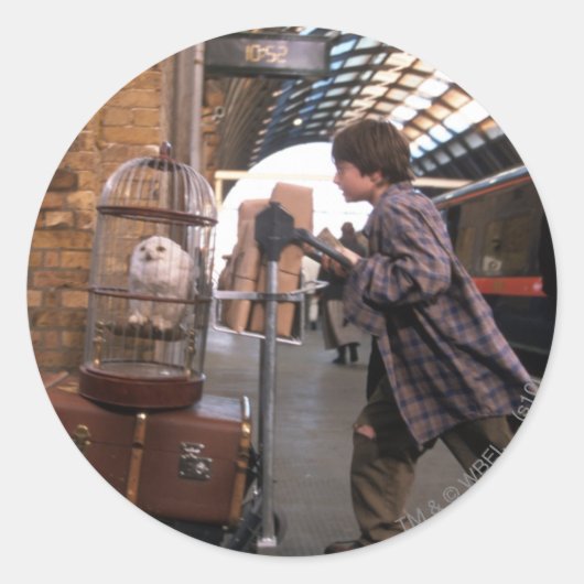 Harry en Hedwig PLATFORM 9 3/4™ Ronde Sticker (Voorkant)