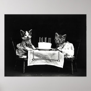 Harry Frees Funny Cats met Birthday Cake Poster