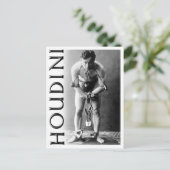 Harry Houdini in Chains Briefkaart (Staand voorkant)