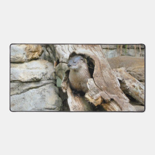 Harry Otter