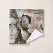 Harry Otter (Gant de toilette)